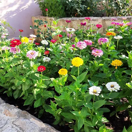 Guest house Guest Deva Burgas