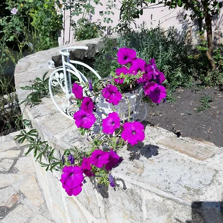 Guest house Guest Deva 3*