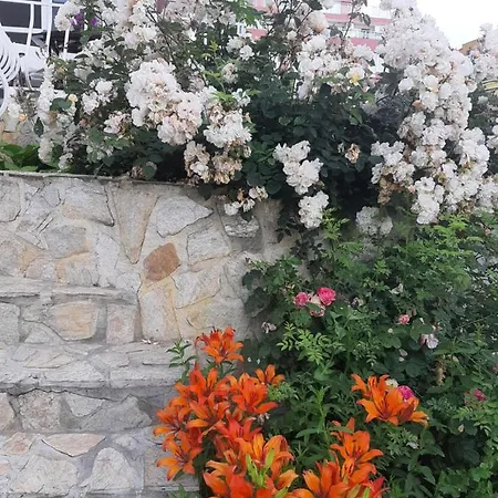 Guest house Guest Deva 3*