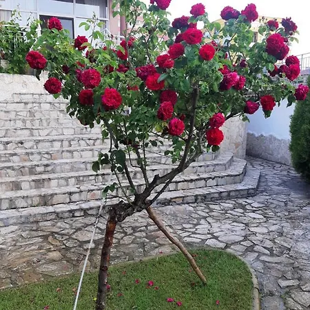 Guest house Guest Deva 3*